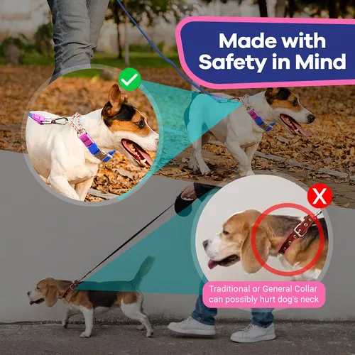 Vista 6 de Jelly - Collar para perro martingala impermeable, collar de nailon sin tirones con hebilla de metal de aleación y anillo en D para entrenamiento