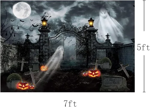 Vista 4 de MEHOFOND Fondo de fotografía de cementerio embrujado de Halloween de 7 x 5 pies, linterna gótica de fantasma, terror espeluznante, puerta