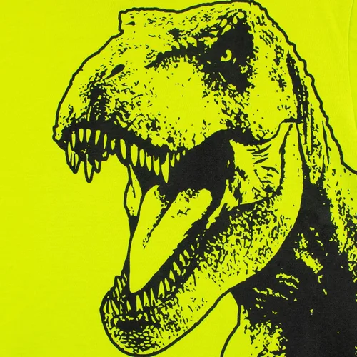 Vista 3 de Jurassic World Conjunto de camiseta y pantalones cortos de dinosaurio para niños
