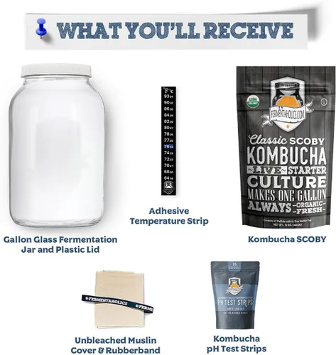 Vista 3 de Kombucha Essentials Kit – Incluye Kombucha Orgánica USDA SCOBY + tarro de fermentación de vidrio de 1 galón con cubierta transpirable + tiras de pH