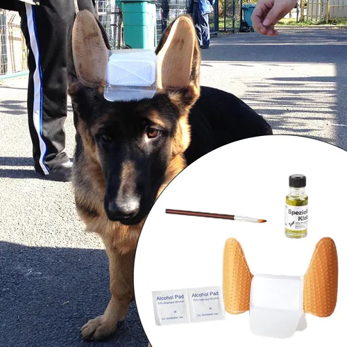 Vista 2 de MagiDeal 1 juego de calcomanías para orejas de cachorro, corrector de oído, kit de herramientas para el cuidado de los oídos, soporte para orejas