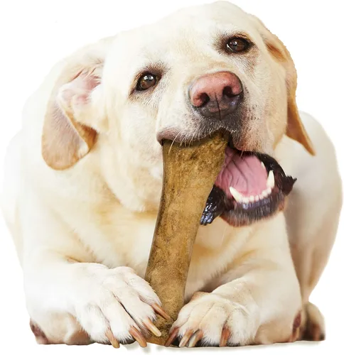 Vista 11 de Nylabone Healthy Edibles Masticables Naturales para Perros de Larga Duración con Sabor a Tocino para Perros, X-Large/Souper (1 unidad)