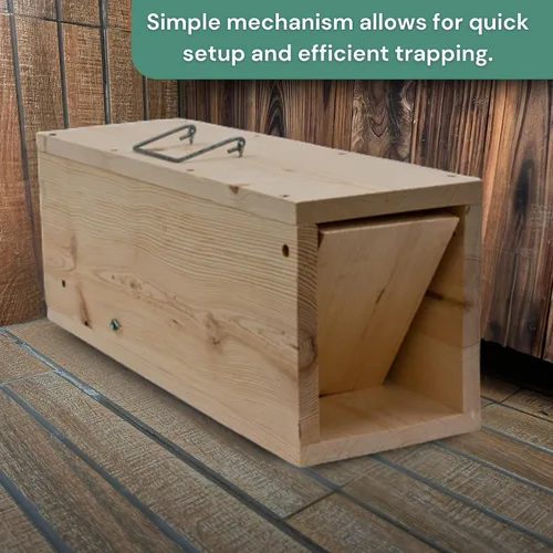 Vista 4 de Trampa de madera para conejos, 24 pulgadas, caja de captura de vida humana Trampa de caja de pino de 24 pulgadas, captura de vida humana