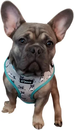 Vista 5 de French Bull - Arnés de chaleco para perro con correa a juego, forro interior de malla transpirable, 4 hebillas de ajuste para obtener el ajuste