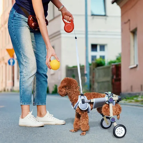 Vista 6 de Silla de ruedas ajustable para perros para patas traseras, soporte de movilidad, silla de ruedas ligera para mascotas con patas traseras