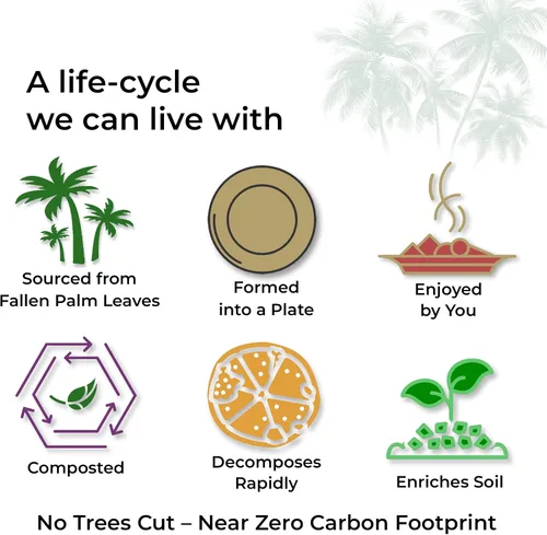 Vista 9 de Indie Palm Platos desechables de hoja de palma, paquete de 50 unidades, cuadrados de 8 pulgadas, resistentes, 100% compostables y biodegradables
