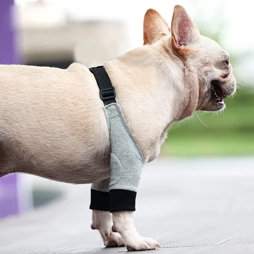 Vista 7 de Protector de codo para perro, soportes para patas delanteras de perro, mangas de recuperación con malla suave acolchada, almohadilla ajustable
