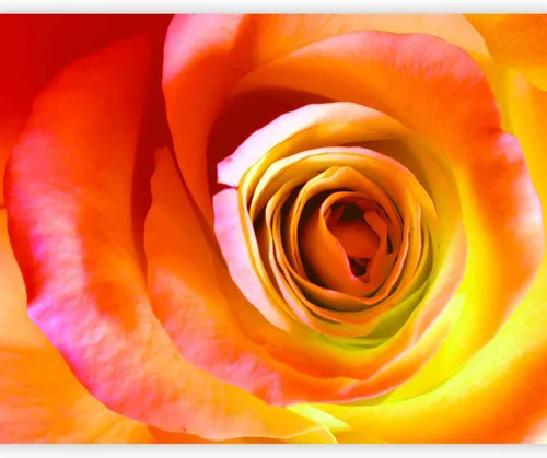 Vista 9 de artgeist Mural de pared con rosas de 138 x 106 pulgadas, papel tapiz no tejido de forro polar para decoración de pared, impresión fotográfica, #05