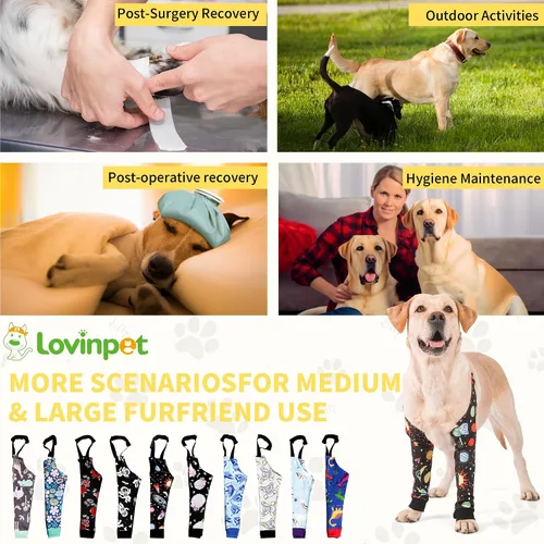 Vista 6 de LovinPet Protector de Codo para Perro Manga de Codo Anti-Lamido, Ajustable, Cómodo y Duradero Protector de Pata Delantera para Perros Medianos a