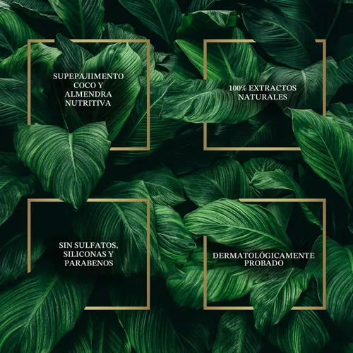 Vista 5 de Parachute Advansed Aceite de almendras para el cabello con coco, para cabello suave y sedoso, aumenta el brillo y la suavidad, sin parabenos ni