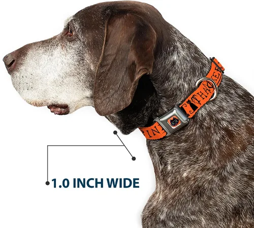 Vista 6 de Buckle-Down Collar de perro Hebilla de cinturón de seguridad Hocus Pocus Thackery Binx Cat Silhouette Naranja Negro, 1 pulgada de ancho - Se adapta