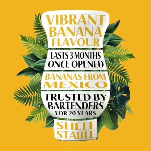 Vista 2 de Banana Reàl, jarabe con infusión de puré de plátano, botella exprimible de 16.9 onzas líquidas (paquete de 1)