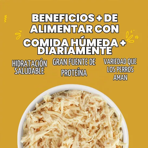 Vista 5 de Weruva Comida Clásica para Perros, Paw Lickin' Chicken con Pechuga de Pollo en Salsa, Lata de 14oz (Paquete de 12)