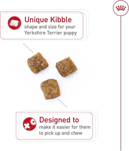 Vista 3 de Royal Canin Breed Health Nutrition Yorkshire Terrier Cachorro Alimento Seco para Perros, Bolsa de 2.5 lb
