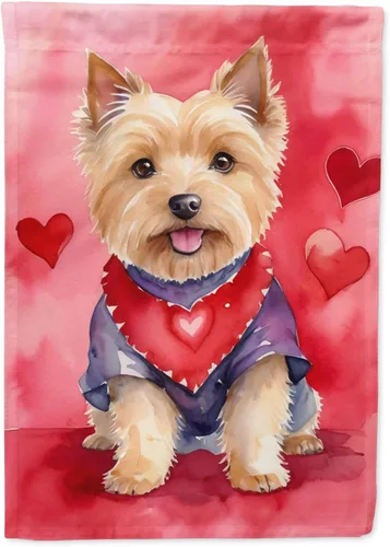 Vista 74 de Caroline's Treasures DAC5252GF Affenpinscher - Bandera de jardín con texto en inglés "My Valentine", bandera decorativa para patio exterior, patio