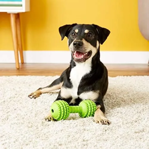 Vista 4 de JW Pet Chompion - Juguete masticable pesado para perros para razas pequeñas, varios