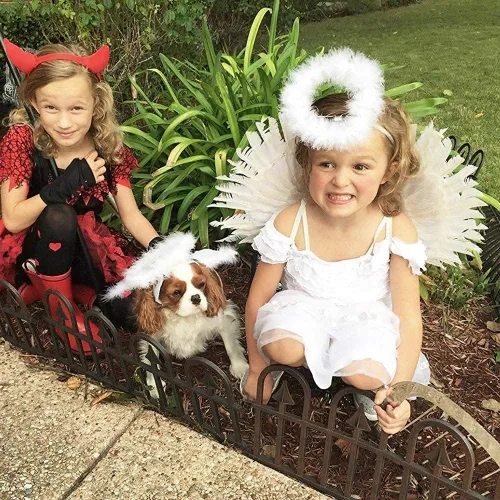 Vista 6 de Alas de ángel y halo para adultos alas de ángel para fiestas infantiles Halloween Navidad