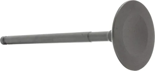 Vista 2 de DNJ Válvula de admisión IV166 para Mitsubishi/Outlander 2007-2015 / 3.0L / SOHC / V6 / 24V / 182cid / 6B31