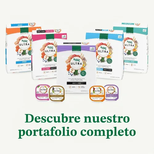 Vista 14 de Nutro Alimento seco ultra alto en proteínas para cachorros, pollo, cordero