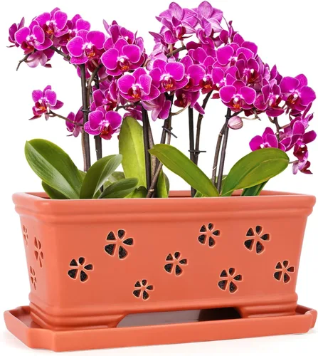 Vista 10 de Maceta rectangular de cerámica para orquídeas de 10 pulgadas con agujeros y platillo, color blanco, drenaje efectivo y ventilación para orquídeas