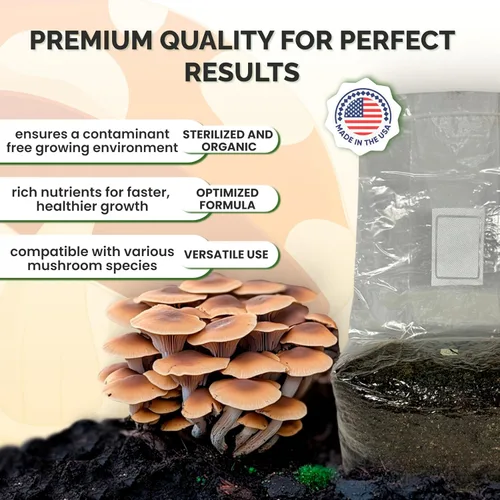Vista 2 de MycoHaus Compost para cultivo de hongos Sustrato esterilizado para hongos Suelo orgánico de hongos Suministros de cultivo para el hogar 5