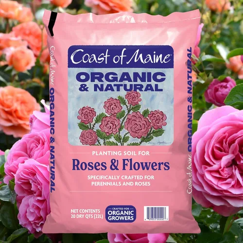 Vista 2 de Coast of Maine Suelo de plantación orgánico y natural para rosas y flores, suelo de jardín premium con estiércol compostado, turba de Sphagnum