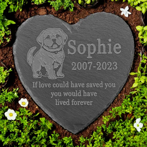 Vista 11 de Memorial personalizado de American Staffordshire Terrier, lápida de American Staffordshire Terrier, condolencias por pérdida de American