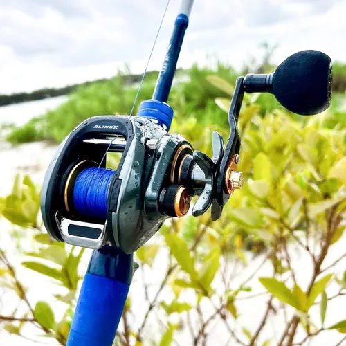 Vista 7 de Piscifun Alinox 300 Baitcasting Reel, 33LB Drag, Aluminum Frame
