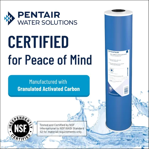Vista 3 de Pentair Pentek GAC-10 Filtro de agua de carbón, 10 pulgadas, cartucho de reemplazo de carbón activado granular (GAC) debajo del fregadero, 10" x