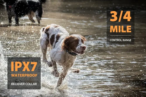Vista 4 de PATPET Collar de choque de perro para 2 perros, collar E de rango de 3/4 millas para entrenamiento de perros con 3 modos de entrenamiento, collar