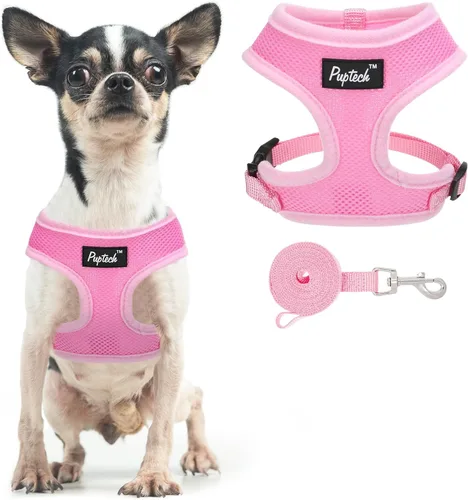 Vista 50 de PUPTECK Juego de arnés y correa de malla suave para perro, cachorro y gato, cómodo chaleco acolchado sin tirones, azul Pascua, S