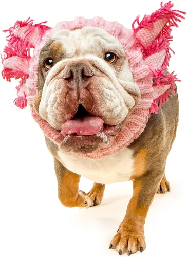 Vista 10 de Zoo Snoods Vestido de Jirafa - Redecilla tejida para perros con cubreorejas para mascotas, cubierta cálida para el cuello para Halloween e invierno