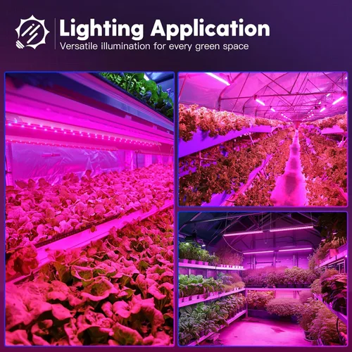 Vista 7 de FREELICHT Paquete de 1 luz LED de crecimiento de 4 pies, 60 W (equivalente a 350 W), rojo azul (660 nm+460 nm) luces de crecimiento de espectro