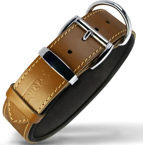 Vista 20 de Filbert Collar de cuero para perro, collar de cuero genuino para perros pequeños, estampado de patas en relieve con hebilla, grano completo curtido