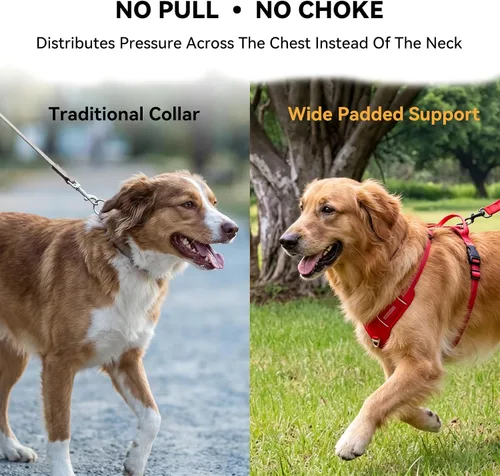 Vista 3 de Arnés para perro sin tirones, chaleco ajustable con clips de correa de metal delanteros y traseros, reflectante para paseos nocturnos seguros