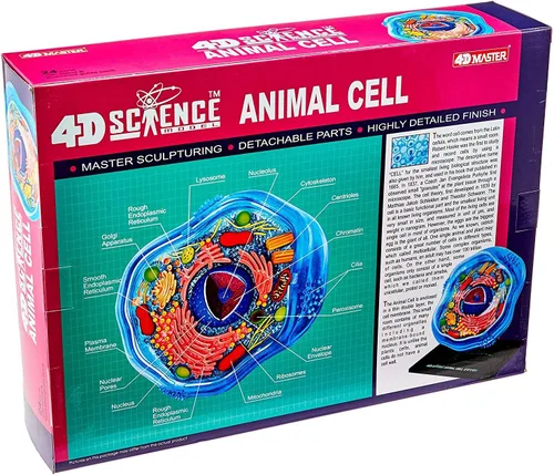 Vista 2 de Modelo de anatomía de célula animal 4d-science de Framemaster