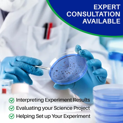 Vista 9 de Evviva Sciences - Kit de proyectos científicos de agar de nutrientes Petri, placas de agar previamente vertidas para experimentos científicos