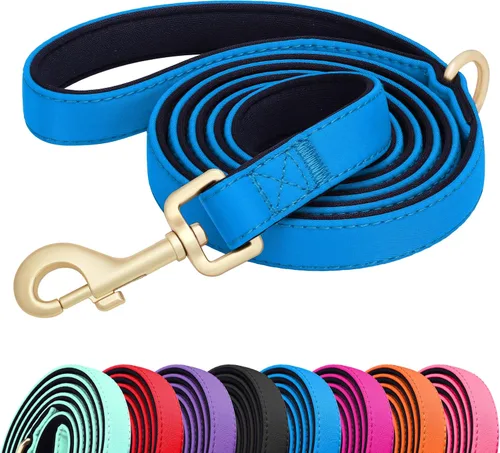 Vista 14 de Didog Correa para perro de nailon colorido de 5 pies con acolchado suave de longitud completa, ligera y duradera para perros pequeños, negro, S