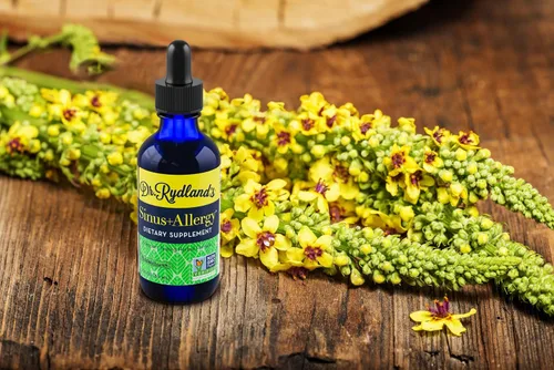 Vista 2 de Dr. Rydland's Suplemento de hierbas Creado por KidsWellness Seguro y eficaz para bebés a adultos Sinusitis y alergias Alivia la sinusitis