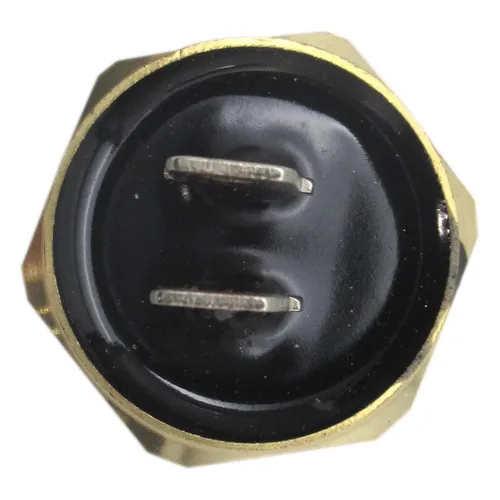 Vista 3 de 4110225 Interruptor del sensor térmico del ventilador para Polaris Scrambler 500 1998 1999 2000