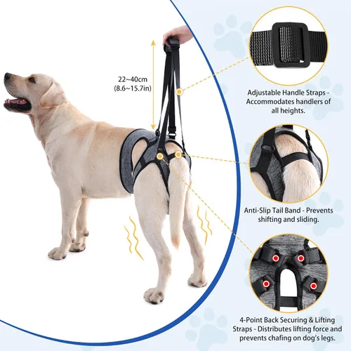 Vista 2 de LIANZIMAU Arnés de elevación ajustable para perros grandes, arnés de elevación ajustable para patas traseras, arnés de ayuda para la movilidad