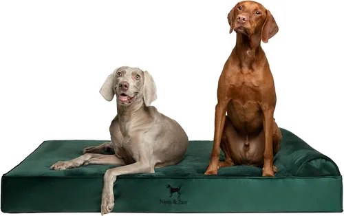 Vista 19 de NOAH & PAW Cama pequeña para perros, 20 x 15 x 6.5 pulgadas, cama para gatos de interior, espuma viscoelástica ortopédica de cáscara de huevo Verde
