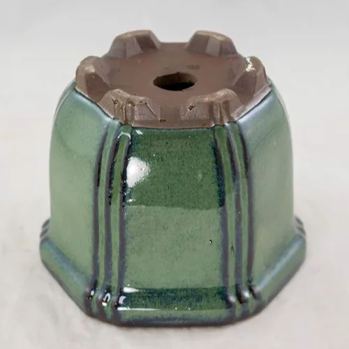 Vista 5 de Maceta Shohin para bonsái con malla, hexagonal, color verde oscuro, 4.25 x 4.25 x 3.25 pulgadas