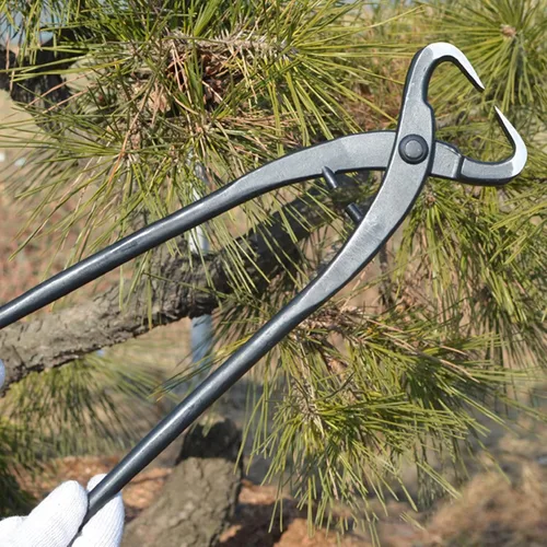 Vista 4 de Fdit Cortador de rama, cortador profesional del bonsái los 27cm10.63in incisivo para el jardín