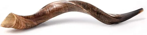Vista 5 de Auténtico juego Kudu Shofar – Cuerno yemenita natural completo (26"-28") con bolsa de menorá, guía y estuche de transporte – Hecho a mano en Israel