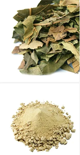 Vista 5 de Polvo de extracto de hoja de caqui puro natural orgánico -10.58 onzas (10.58 oz)