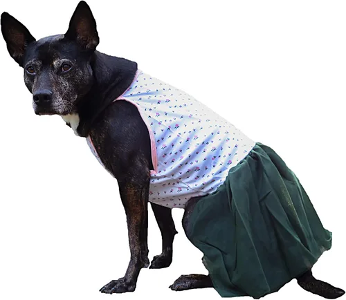 Vista 4 de Midlee Vestido para perro grande con tutú rosa rosa (XXL)