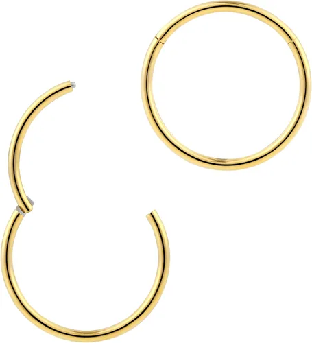 Vista 10 de 2pcs Titanium Hinged Hoops Segment Septum Nose Rings Sleeper Earrings Negro