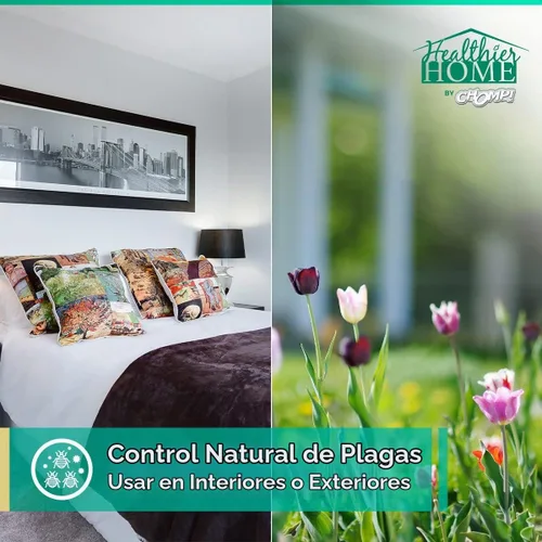 Vista 3 de CHOMP! Spray para control de insectos y plagas, 24 onzas, uso en interiores y exteriores, hormigas de fórmula a base de plantas, chinches, arañas