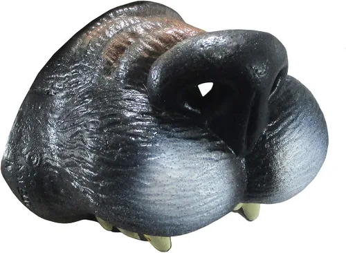 Vista 3 de Big Bad Wolf Ears Tail - Juego de mini máscara de nariz, color gris, talla única, GrisMarrón